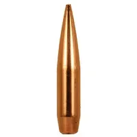 Hunters hot Supply .45 Slugs (166 Grain)